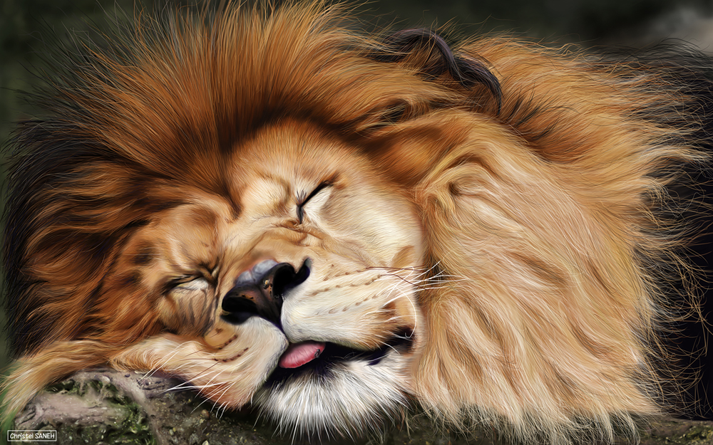 Lion-digital-painting